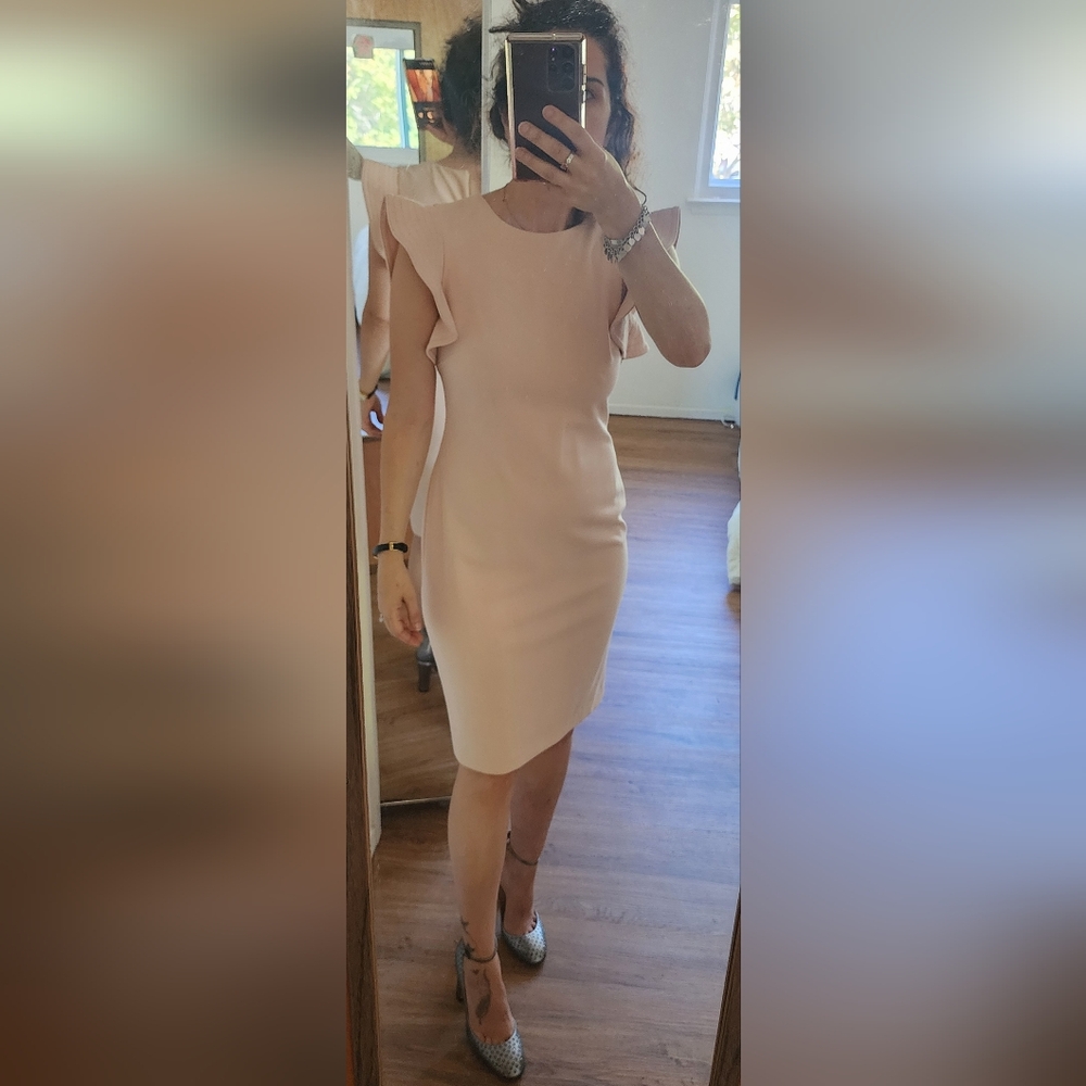 Calvin Klein Collection Blush Midi Dress